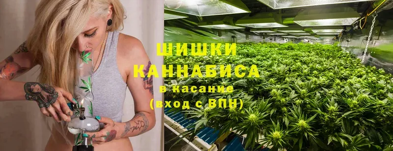 цены наркотик  Кызыл  Шишки марихуана SATIVA & INDICA 